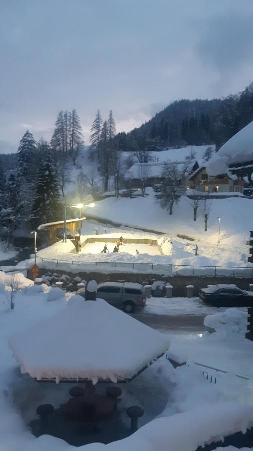 Tarman Appartement Jesenice