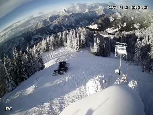 Tarman * Jesenice