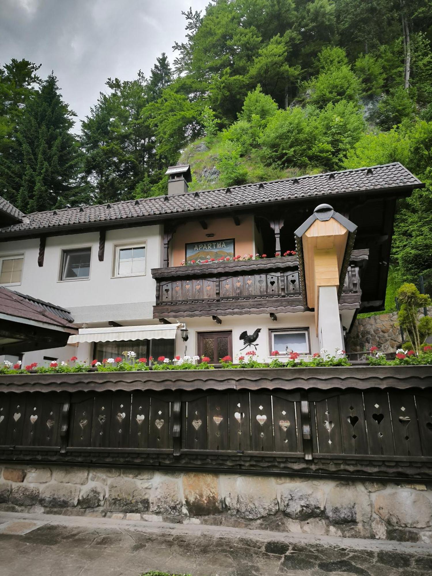 Tarman * Jesenice