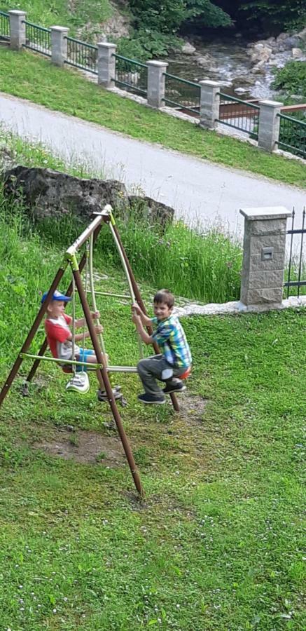 Tarman * Jesenice